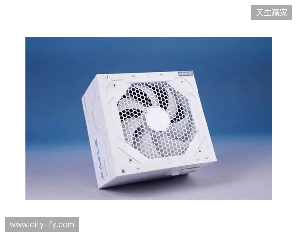 黑白双鹰，白金降临：技嘉猎鹰 冰猎鹰白金电源4月27日开售